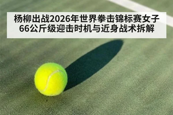 杨柳出战2026年世界拳击锦标赛女子66公斤级迎击时机与近身战术拆解